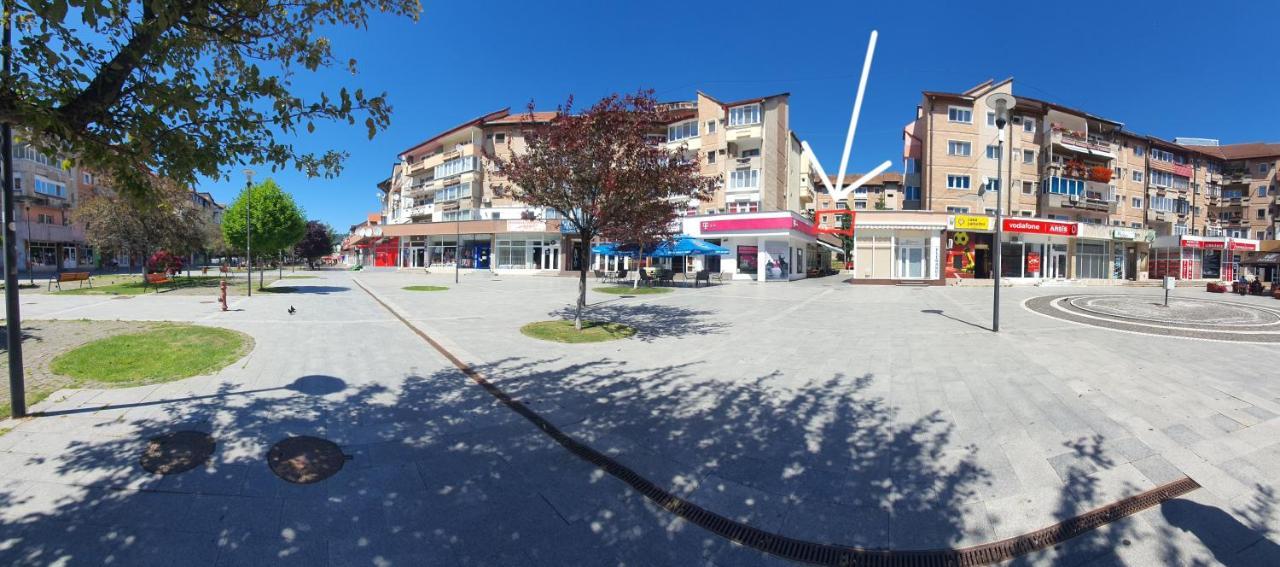 Studio Six Continents Petroşani Exteriér fotografie